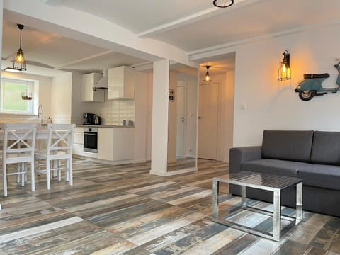 Kitchen or kitchenette, Living room, Seating area, Dining area, oven, stove