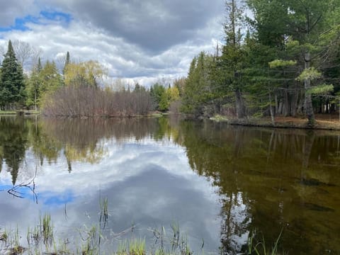 Secluded Au Sable River Home House in Michigan