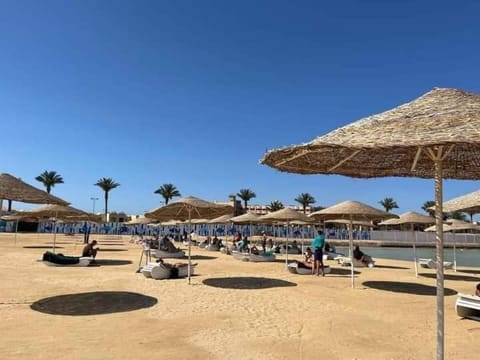 Day, Beach, Sea view, group of guests, sunbed