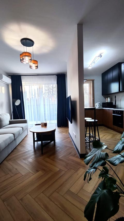 Kitchen or kitchenette, Living room, Seating area