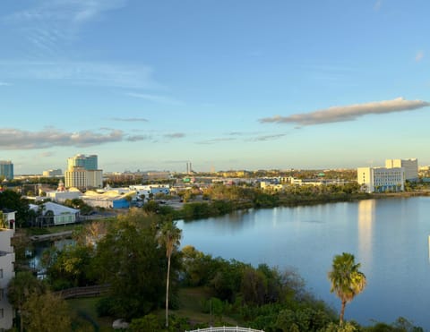 Bird's eye view, View (from property/room), City view, Lake view