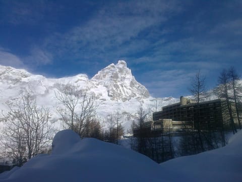 Alpine Treasure Apartment in Breuil-Cervinia