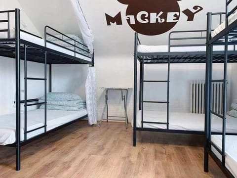 Rainbow Villa, One bed in shared dormitory room, please choose male or female room correctly, not mixed, check in from 16h00 to 23h50 Hostel in Vitry-sur-Seine