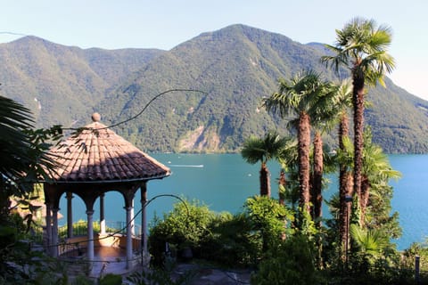 Natural landscape, Garden, Lake view