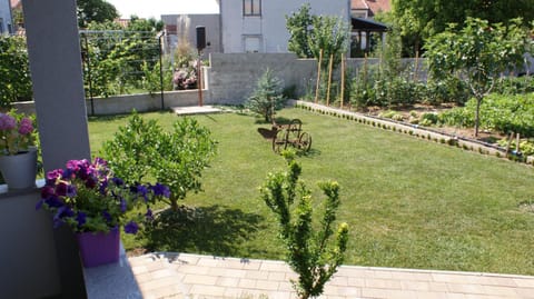 Apartments Nika Apartment in Zadar