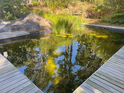 Garden, Swimming pool