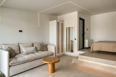 Bed, Living room, Photo of the whole room, Seating area, Bedroom