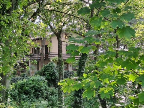 Property building, Natural landscape, Garden view