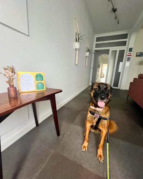 Living room, Pets, pet friendly