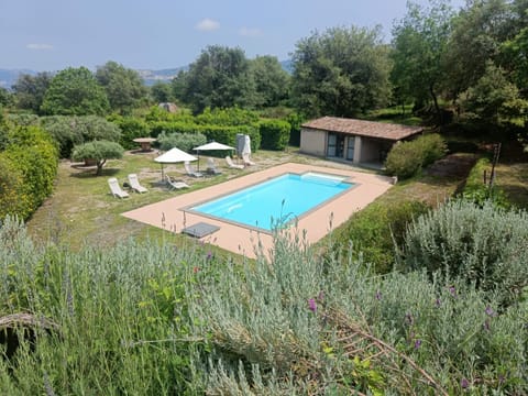 Garden, Pool view, Swimming pool