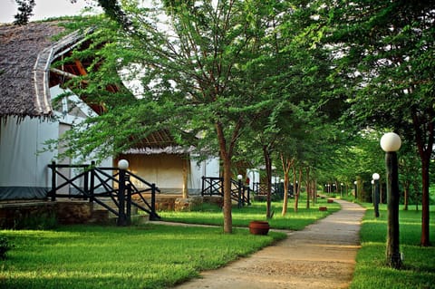 Natural landscape