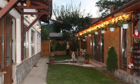 Property building, Garden, Pets, Inner courtyard view