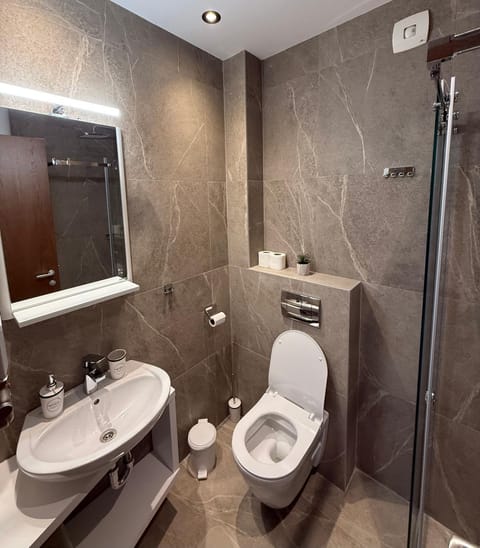 Shower, Toilet, Bathroom, towels