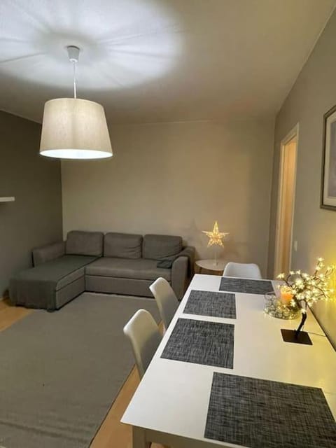 Arctic city home Apartment in Rovaniemi