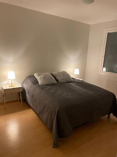 Arctic city home Apartment in Rovaniemi