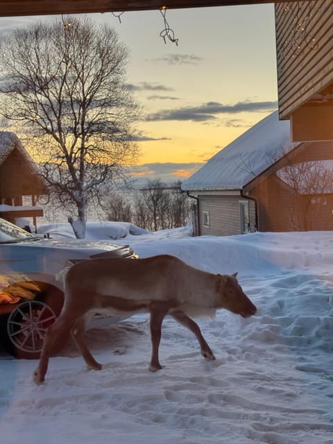 Sea breeze & silence - Kvaløysletta Apartment in Tromso