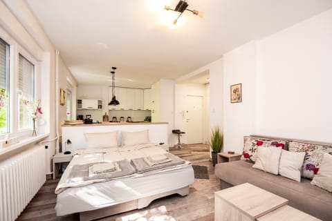 Bed, Living room, Photo of the whole room