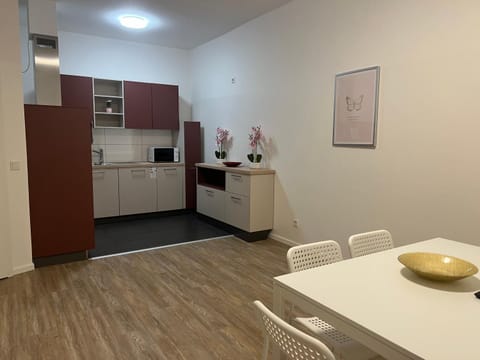 Kitchen or kitchenette, Dining area, oven, stove