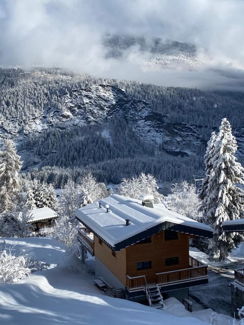 Mountain Cabin - vue montagne - 4 personnes Cabin in Les Houches
