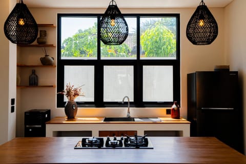 Kitchen or kitchenette, kitchen