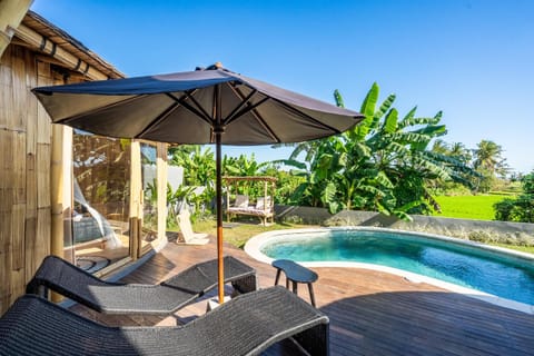 Natural landscape, Garden, Garden, Garden view, Pool view, Swimming pool, Swimming pool