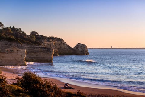 Natural landscape, Beach, Beach