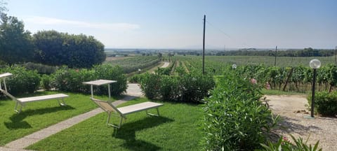 Garden, Garden