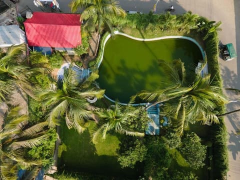 Natural landscape, Garden, Pool view