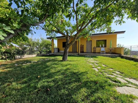 Property building, Garden, Garden, Garden view