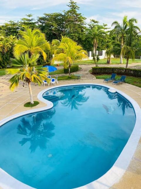 Garden view, Pool view, sunbed
