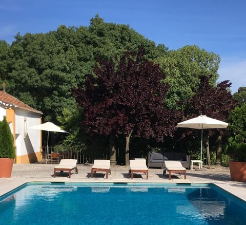 Garden, Swimming pool
