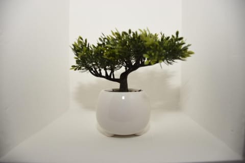 B&B Romeo2 Apartment in Bari