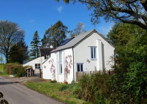Property building, Day, Street view