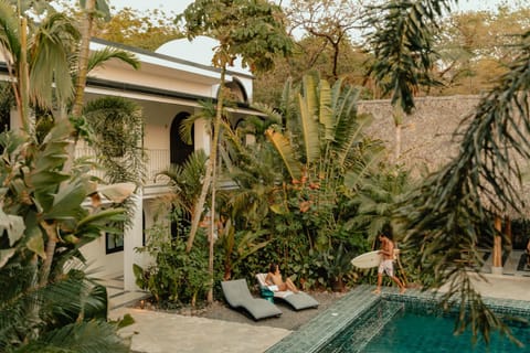 Garden, Garden view, Pool view, Swimming pool