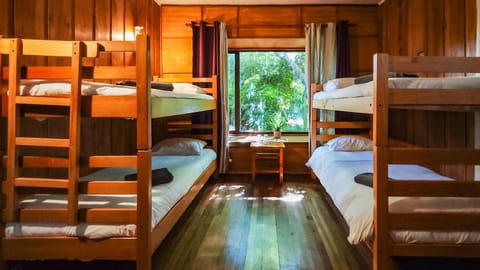 bunk bed