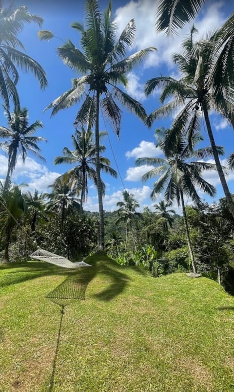Sugita Wooden House 2 Nature lodge in Payangan