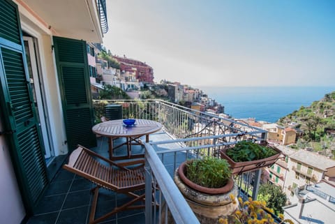 Luxury Seaview Apartments Manarola by Arbaspàa Apartment in Manarola
