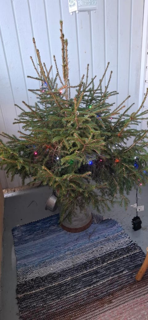 Tunnelmallinen retroyksiö Apartment in Rovaniemi