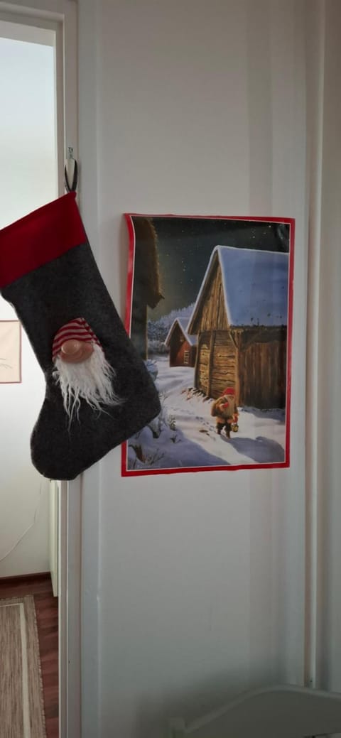 Tunnelmallinen retroyksiö Apartment in Rovaniemi