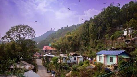 Day, Activities, Mountain view