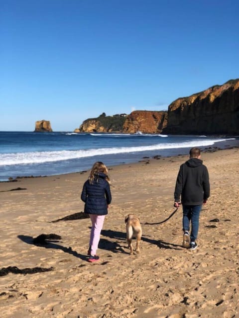 Aireys Bush Sanctuary House in Aireys Inlet