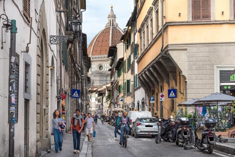 Irene and Elena House - Florence Apartment in Florence