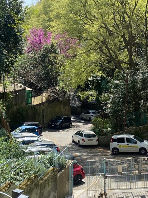 Neighbourhood, Natural landscape, Parking