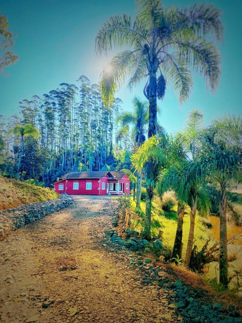 Natural landscape, Garden, Garden view