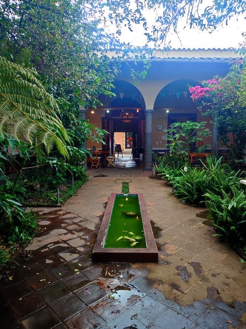 Casa Morfo Cultura Vacation rental in State of Puebla