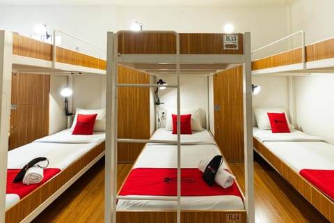 bunk bed