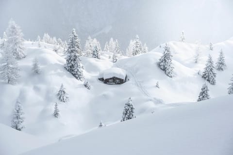 Winter, Mountain view