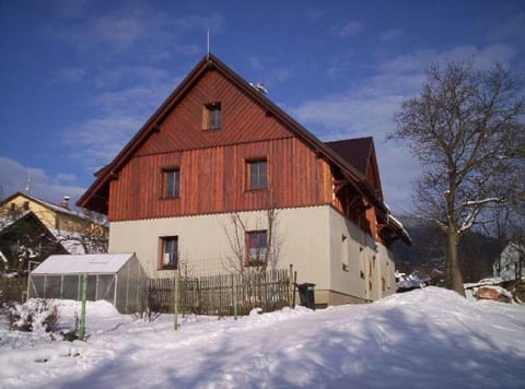Day, Winter, Other