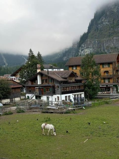 Charming apartment in Kandersteg Apartment in Canton of Valais