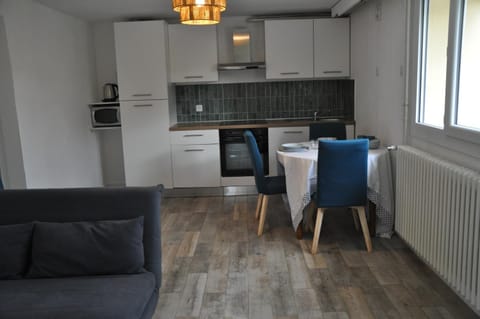 Kitchen or kitchenette, Dining area, oven, stove